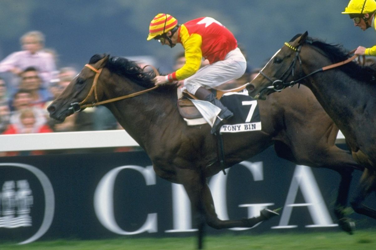 凱旋門賞を制した時のトニービン(Photo by Dan Smith/All sport via Getty Images)