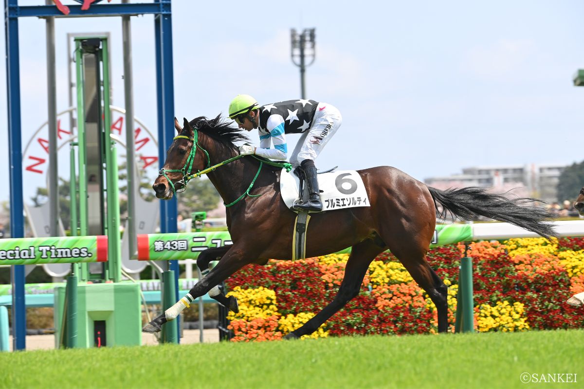 2025年4月3歳未勝利を制したプルミエソルティ