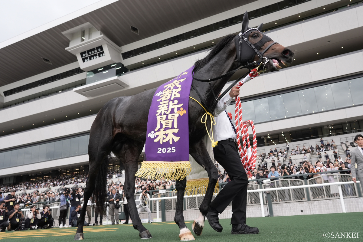 2025年京都新聞杯を制したショウヘイ