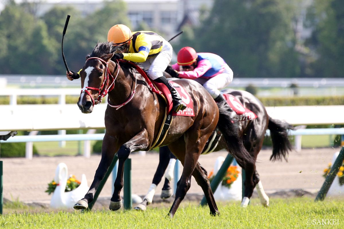 第66回京都新聞杯を制した時のステイフーリッシュ