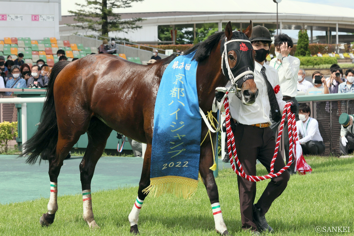 2022年京都ハイジャンプを制したタガノエスプレッソ