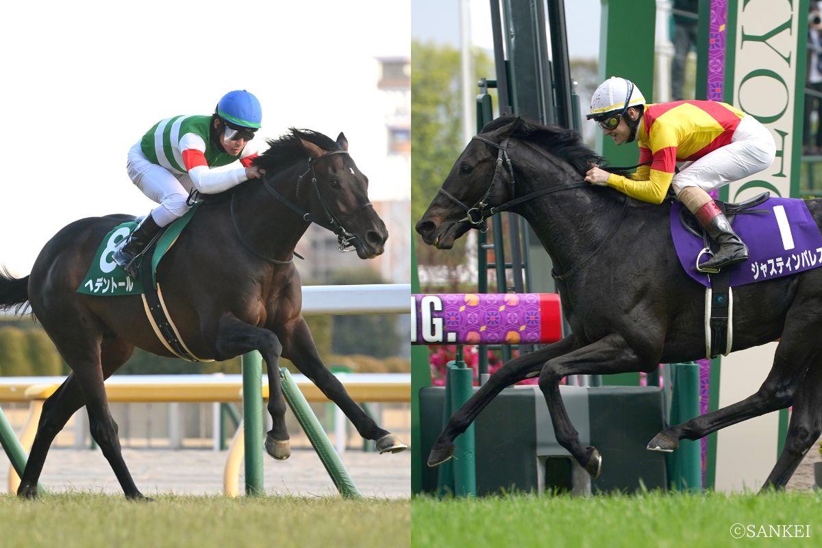 ヘデントール(写真左)とジャスティンパレス(写真右)