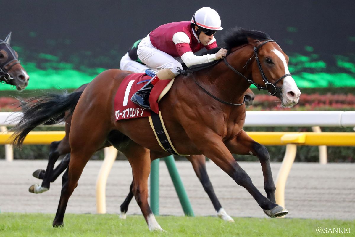 第53回京王杯2歳Sを制したときのタワーオブロンドン