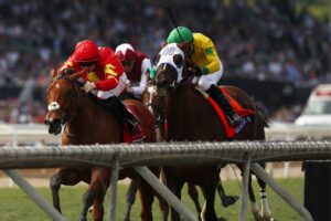 POG有力馬！25年サンデーレーシング”輸入繁殖牝馬”の仔（1）エグい血統…北米を沸かせた歴史的名馬の血
