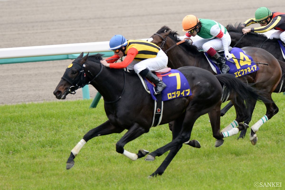 2013年皐月賞を制したロゴタイプ