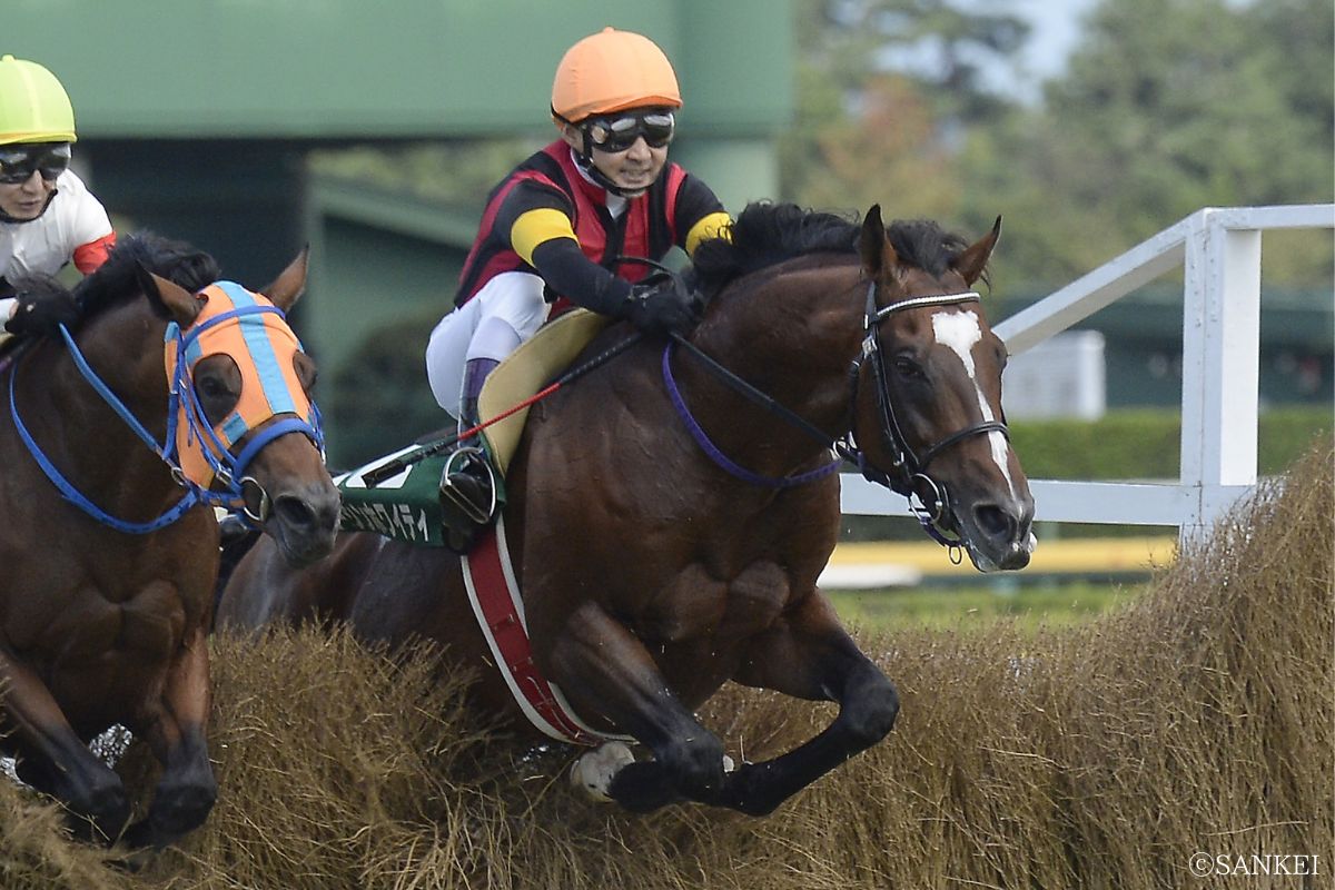 2014年新潟ジャンプSを制したエーシンホワイティ