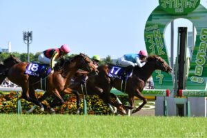 【POG 2025-2026】本気の推しはこの馬（3）阪神JF、桜花賞を狙える？超マイラー血統の牝馬