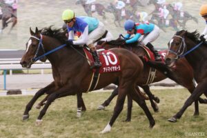 アグネスタキオン産駒最強馬は？獲得賞金ランキング【第5位】驚異的才能も…相次ぐ悲劇に泣かされた名馬