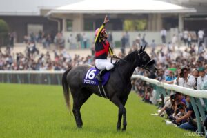 クロフネ産駒最強馬は？獲得賞金ランキング【第3位】得意の府中で輝いた芦毛の快速お嬢様