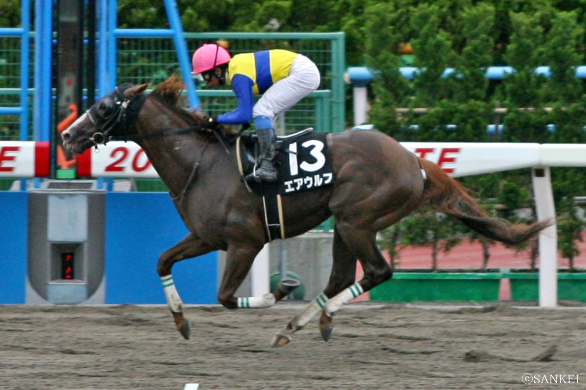 2011年津軽海峡特別を制したエアウルフ
