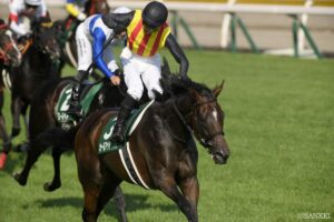 【アイビスサマーダッシュ2026】本当に外枠が有利？過去10年の新潟・芝1000mの枠順別成績を分析