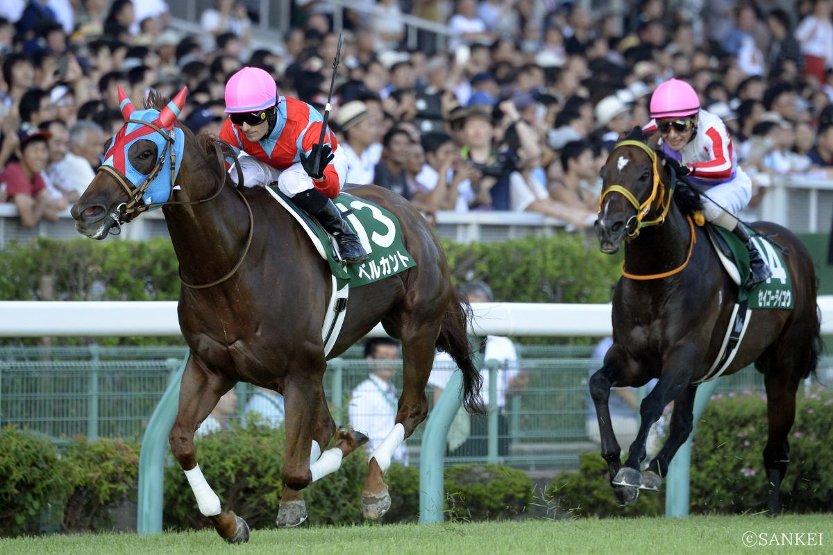 2015年アイビスサマーダッシュを制したベルカント