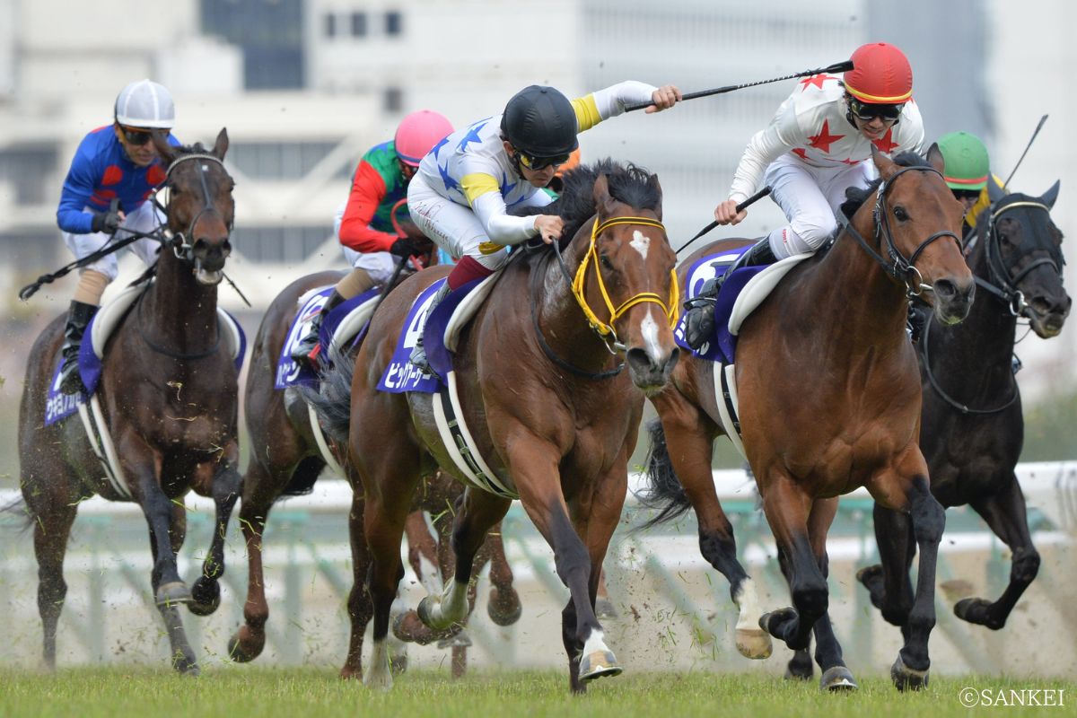 第46回高松宮記念を制した時のビッグアーサー(写真中央)