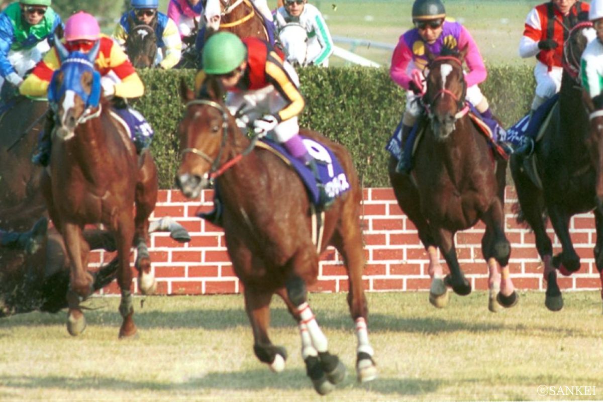 2004年中山大障害を制したブランディス