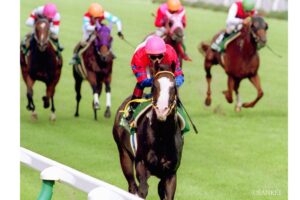 【競馬クイズ ～夏競馬編～】（第4問）アイビスサマーダッシュで最多連対しているのはどの馬？