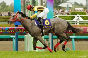 アグネスタキオン産駒最強馬は？獲得賞金ランキング【第3位】川田騎手、飛躍の原点…美しい逃走劇を演出した芦毛馬