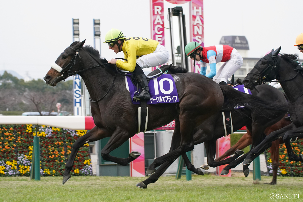 2021年阪神JFを制したサークルオブライフ