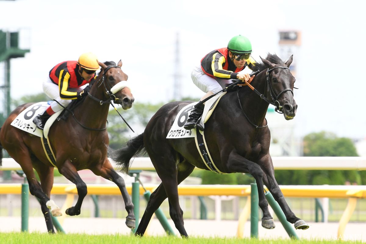 2024年6月9日/2歳新馬を制したクロワデュノール