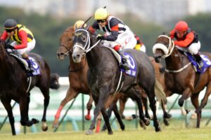 クロフネ産駒最強馬は？獲得賞金ランキング【第6位】抜群のスピードで荒稼ぎ！短距離界の可憐な快速女王