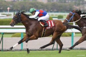 サクラバクシンオー産駒最強馬は？獲得賞金ランキング【第3位】スプリント重賞で存在感を示したタフガイ