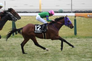 【函館記念有力馬診断】重賞初制覇を狙うディマイザキッドの評価は？大混戦の函館記念を斬る…