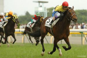 ディープインパクト　～不朽の光を放つ日本競馬史上最も偉大な一頭～