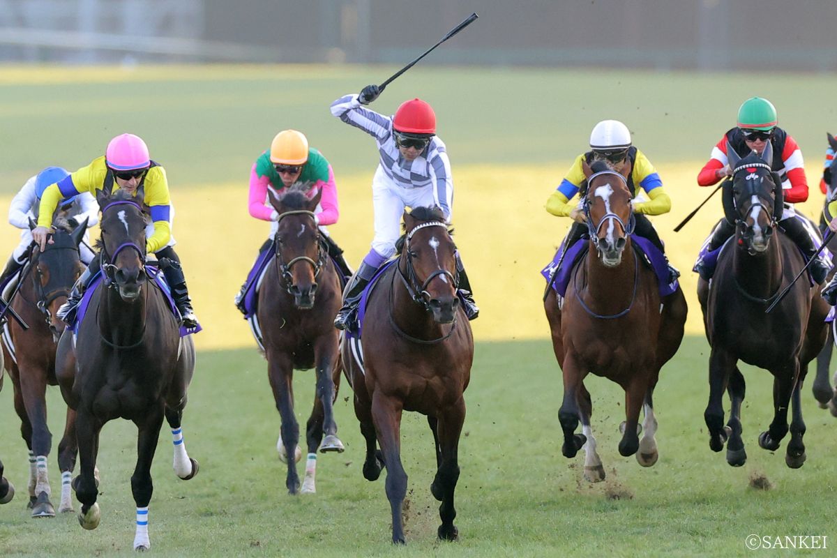 2023年有馬記念を制したドウデュース（中央）