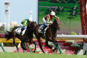 ドゥラメンテ　〜荒々しく豪快な末脚でファンを沸かせた、早世が悔やまれる幻の三冠馬〜