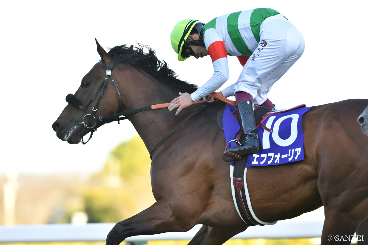 2021年有馬記念を制したエフフォーリア