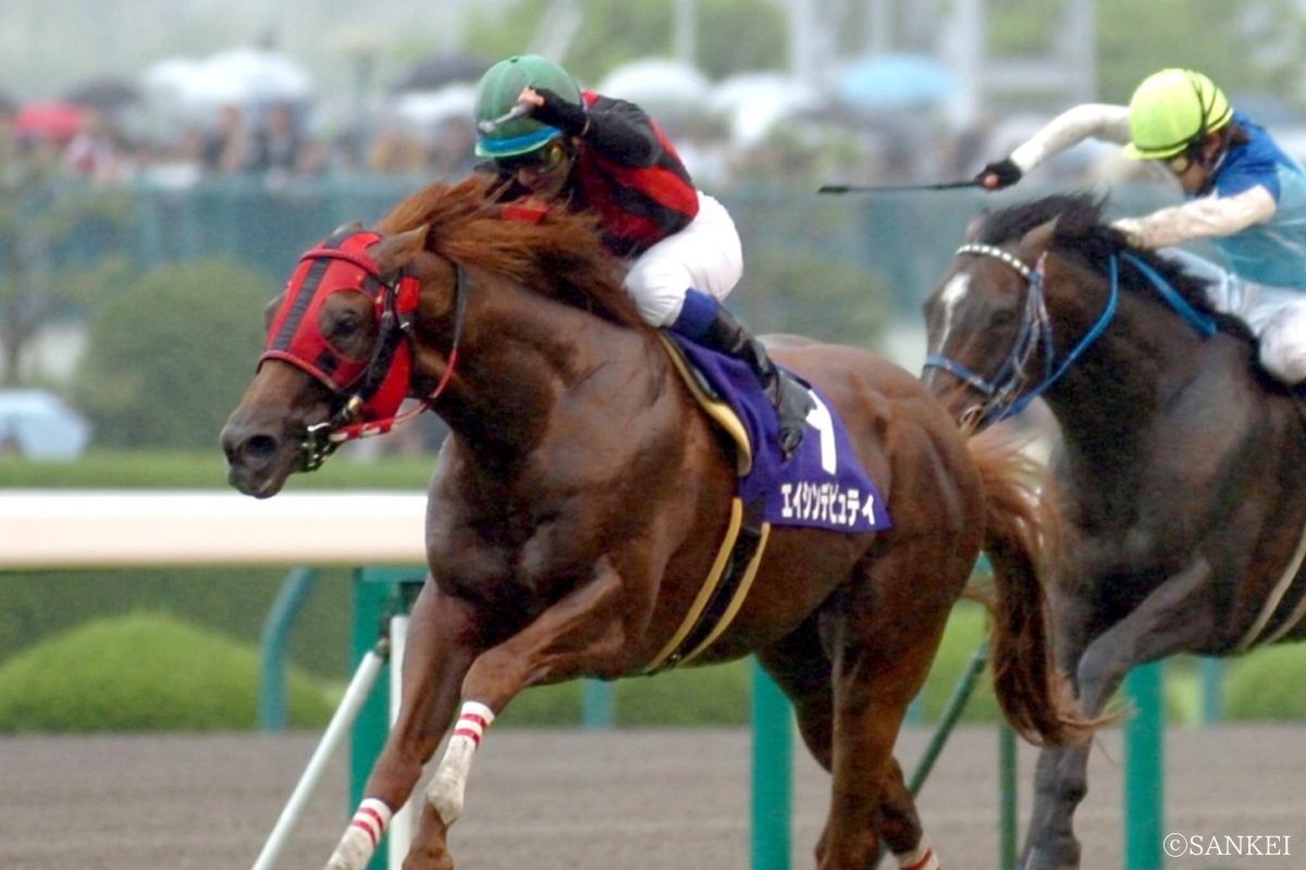 2008年宝塚記念を制したエイシンデピュティ