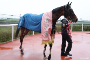 革命級の調教…！日本競馬を変えた坂路の申し子（5）快速娘は美浦で異色の坂路メイン…新時代の調教に注目