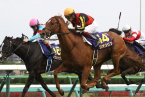 【今週の新馬戦】皐月賞馬ジオグリフの弟・ロスパレドネスが福島に登場！ 兄に続けるか…？注目の一戦
