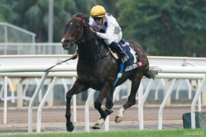 あまりに強すぎ…日本馬を蹴散らした香港の伝説的名馬（3）いつまで勝ち続ける…驚異の記録を残した世界最強馬