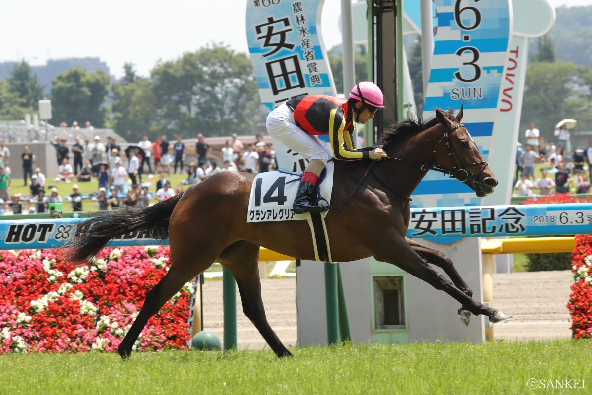 2018年6月3日/2歳新馬を制したグランアレグリア