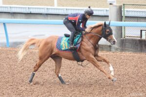 【今週の新馬戦】グランアレグリアの初仔・グランマエストロがデビュー！鞍上はC.ルメール騎手
