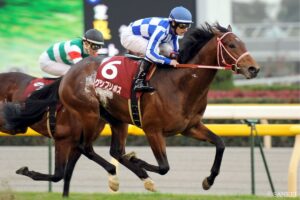 サクラバクシンオー産駒最強馬は？獲得賞金ランキング【第1位】えげつない稼ぎっぷり…マイルGI・2勝を挙げた賞金王