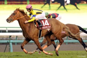 アグネスタキオン産駒最強馬は？獲得賞金ランキング【第10位】破壊的にやばい…！幻の三冠馬の血引く超高速馬