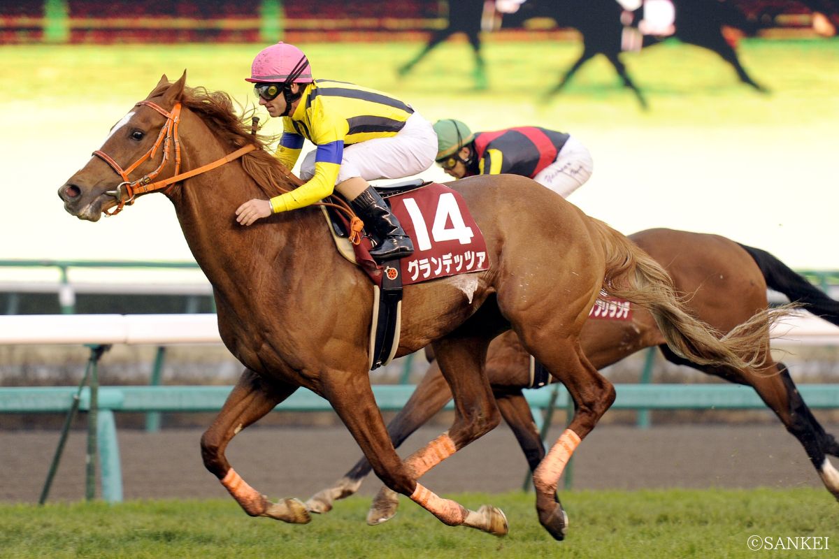 2012年スプリングSを制したグランデッツァ