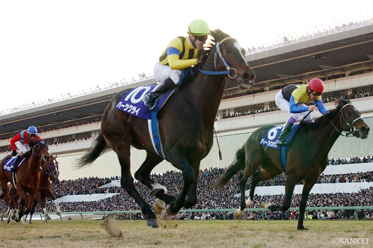 2005年有馬記念を制したハーツクライ