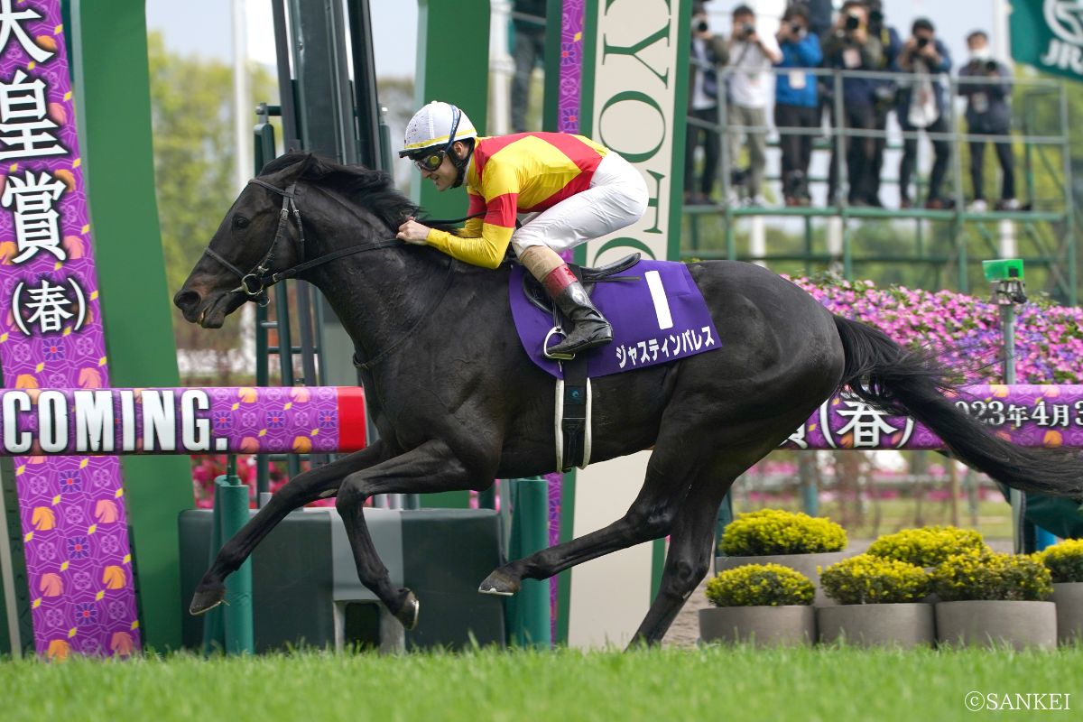 2023年天皇賞（春）を制したジャスティンパレス