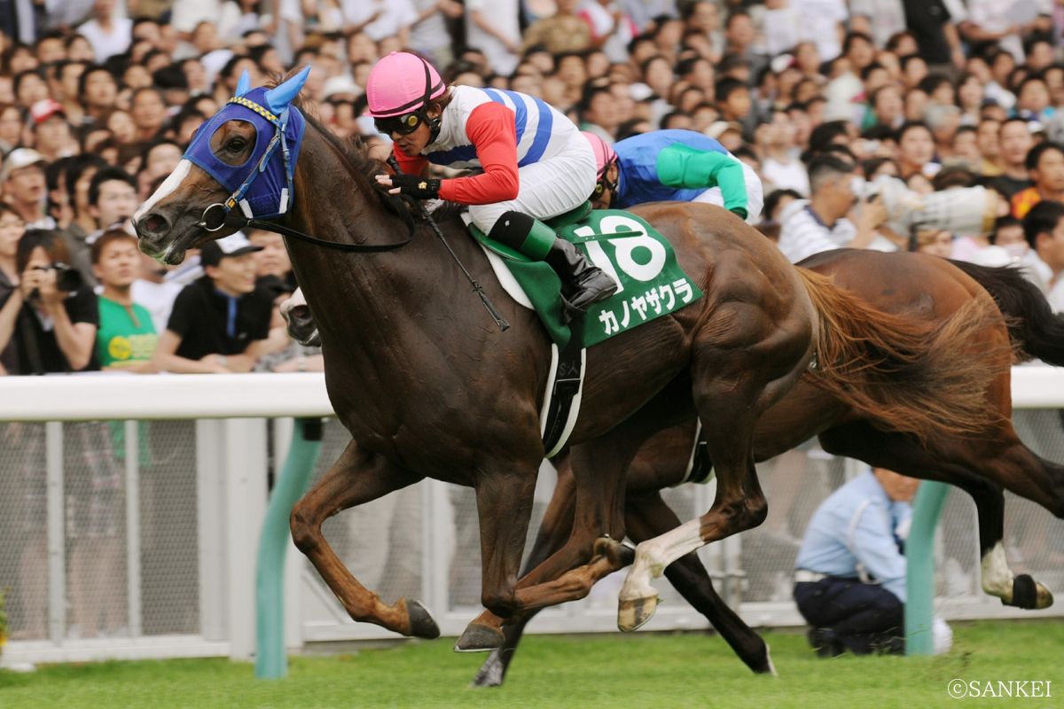 2008年アイビスサマーダッシュを制したカノヤザクラ