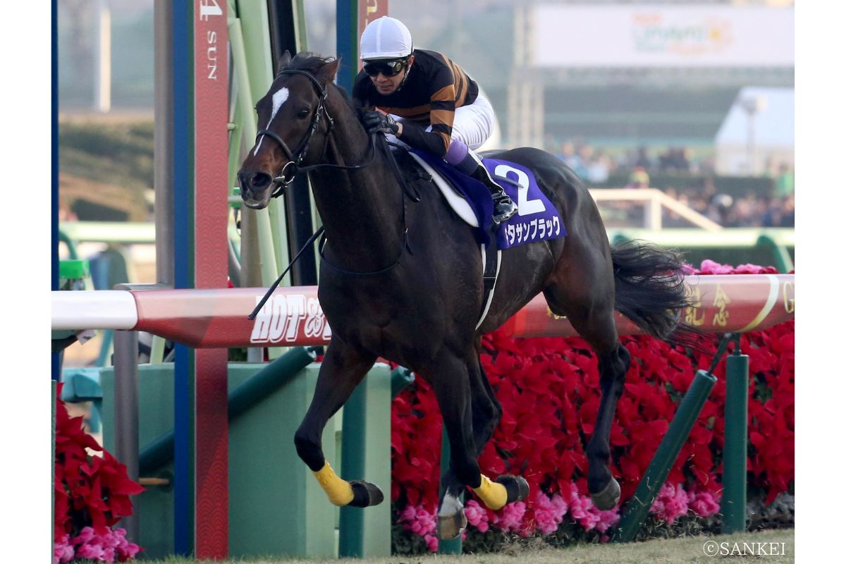 2017年有馬記念を制したキタサンブラック