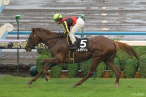 アグネスタキオン産駒最強馬は？獲得賞金ランキング【第8位】500kgの巨体を揺らし…競技長命で大金を稼ぐ