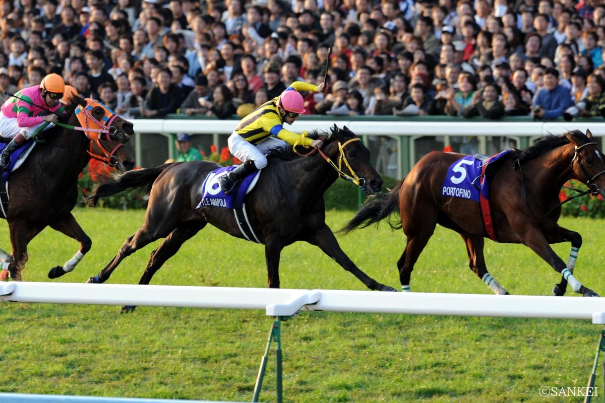 2008年エリザベス女王杯を制したリトルアマポーラ