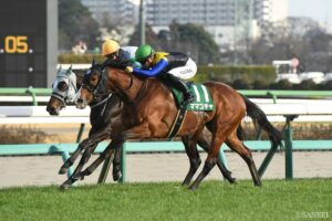 【出馬表】オーシャンS