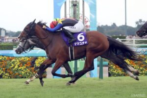 クロフネ産駒最強馬は？獲得賞金ランキング【第5位】名声をほしいまま…白毛一族から誕生、鹿毛のスプリント娘