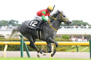 中山金杯2着マイネルモーントの評価は？「ハンデ重賞ならば…」【函館記念予想】