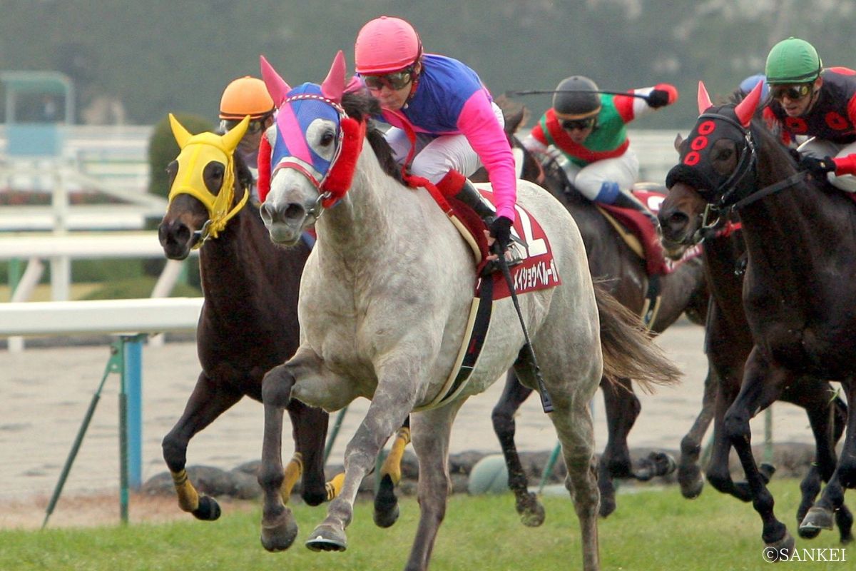 2010年日経新春杯を制したメイショウベルーガ