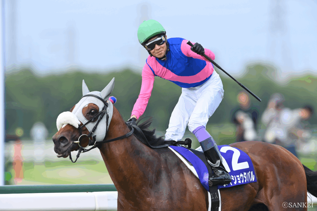 もう待ち切れない！今から本気で考える2025有馬記念春秋グランプリ制覇へ…このドラマは見逃せない！ | 競馬チャンネル