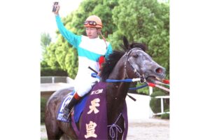 メジロマックイーン 〜父子三代天皇賞制覇した芦毛の最強ステイヤー〜